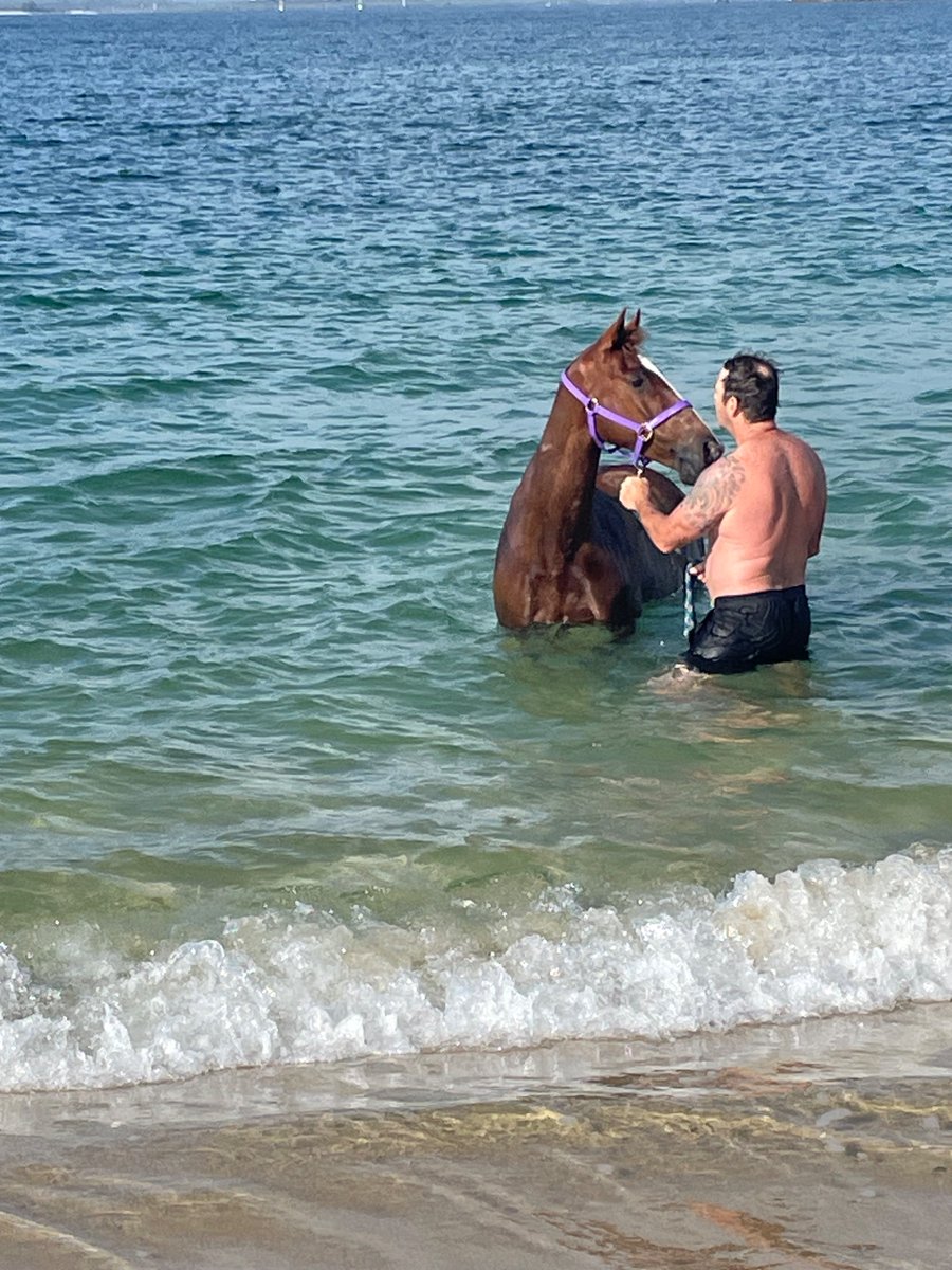 Alexandre Lefebvre tweet media