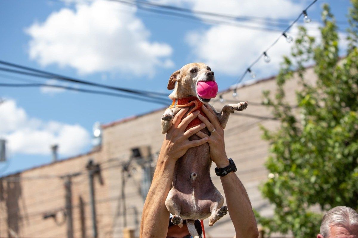 Block Club Chicago tweet media