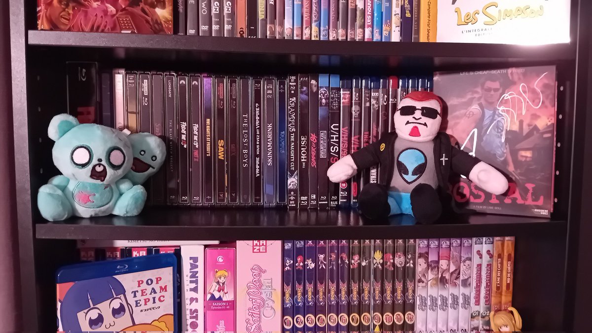 L'Hermine en vrac (MINORS DNI) tweet media