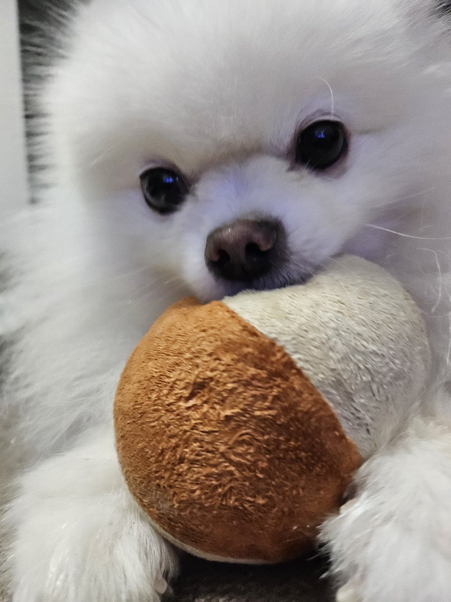 おはようございます✨☀🐶💕