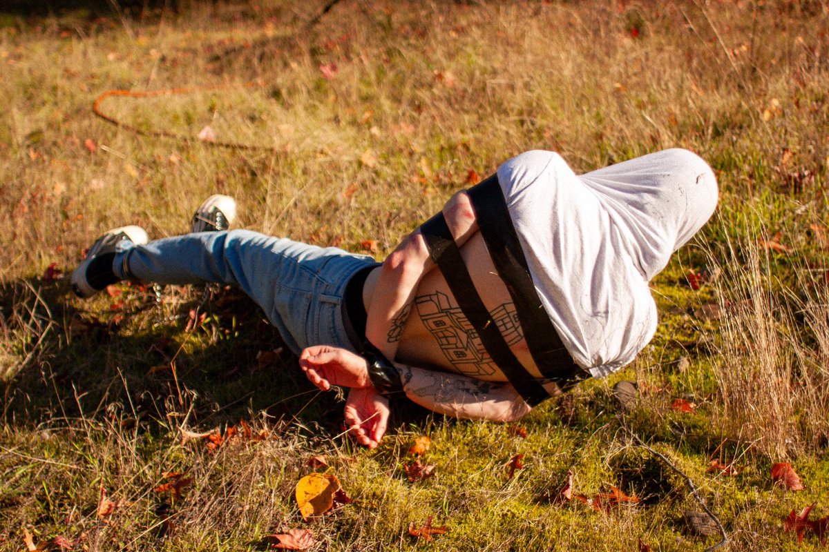 Molly Ace 📍PDX tweet media