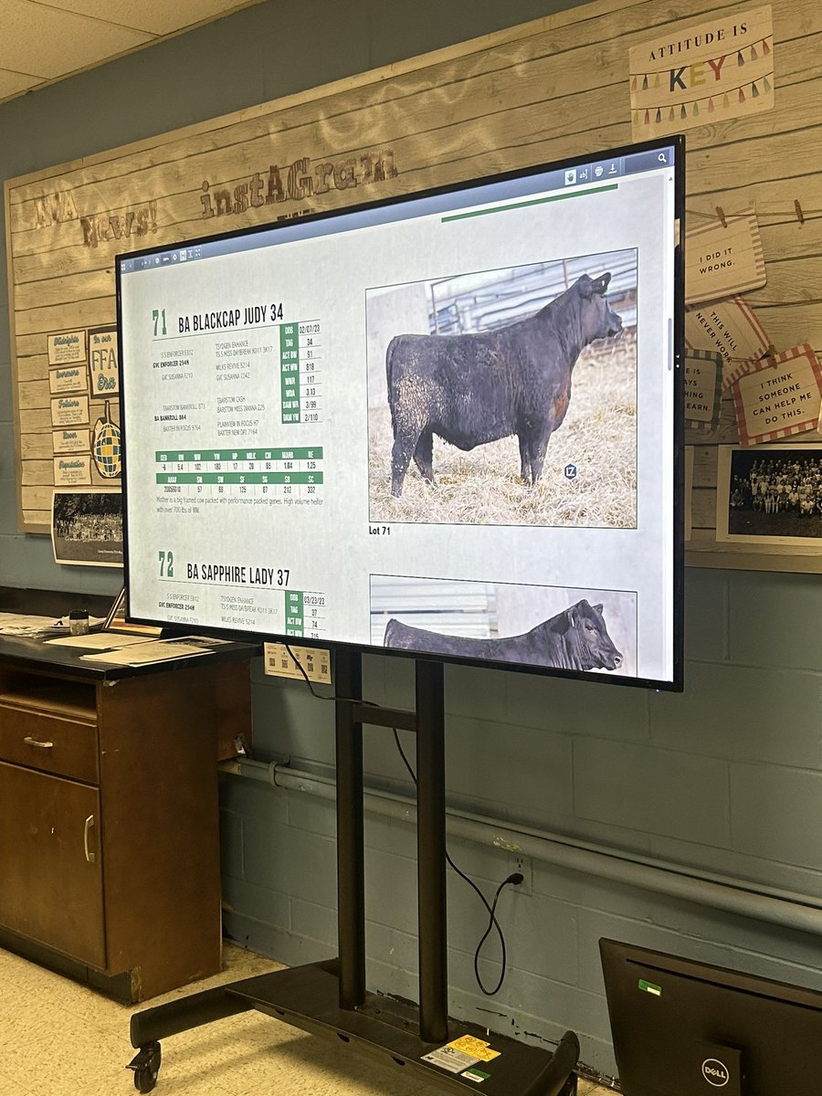 Large Animal used the knowledge gained in their cattle &amp; repro units to consult EPDs to determine which heifers they would like to buy for their “farm”. We then had a real auction for them to bid and purchase their cattle using money earned in review! <a href="/RuCoCTE/">RuCo CTE</a> <a href="/RiverdaleHighTN/">Riverdale HS</a>
