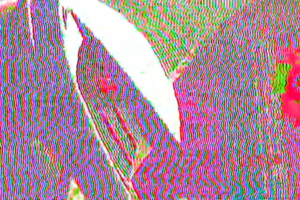 More glitch art from my upcoming split with Hallucinogenic Bulb <a href="/biosphereablaze/">Dave (Kidney-free era)</a> coming soon to <a href="/virtua94/">Virtua94 Records</a> on digital and cassette. Distortion of a Perfect World debuts on Nov 29! For fans of Pokémon, signalwave, and ambient electronic.