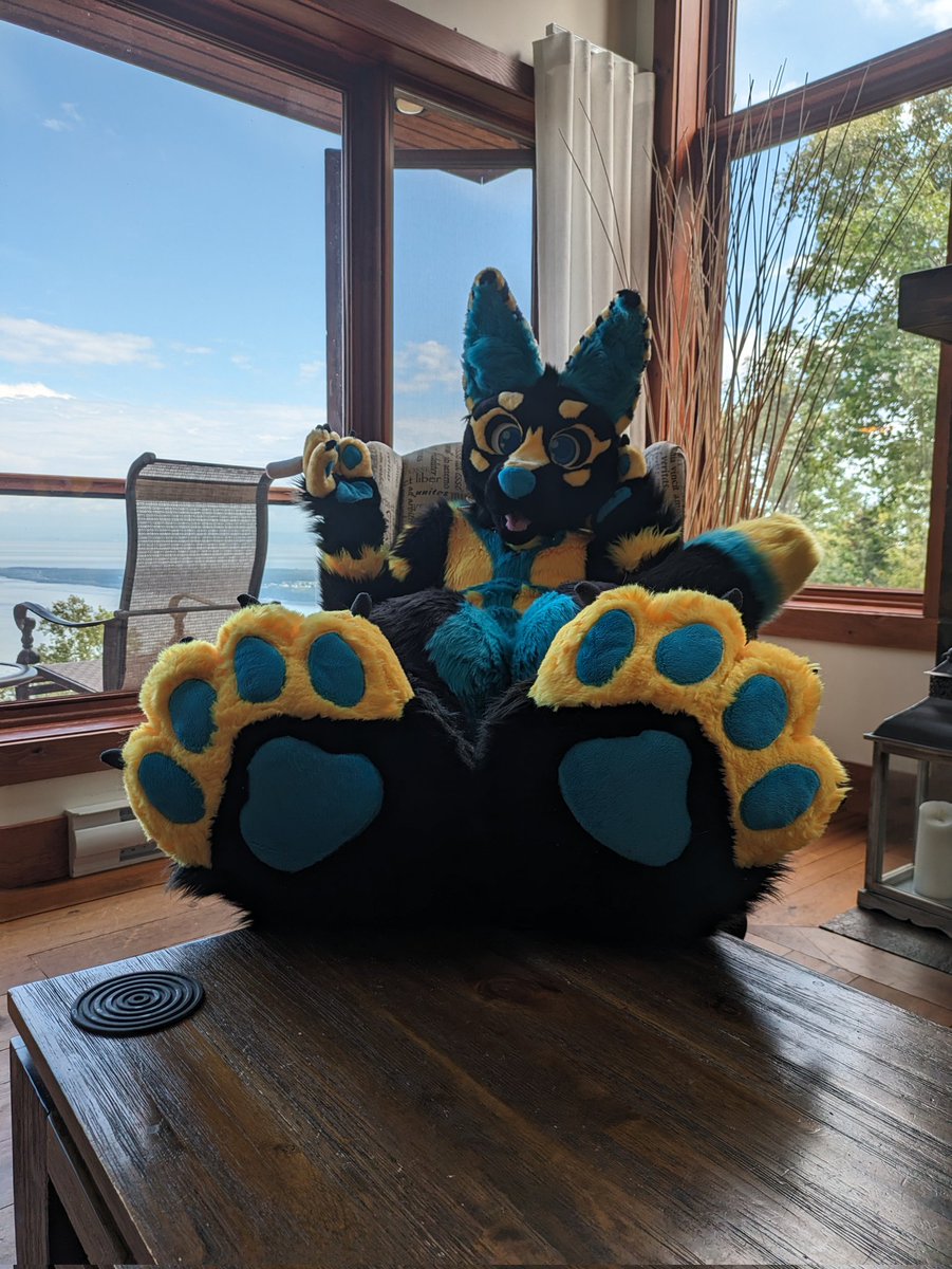 You want to give me paw rubs on #FursuitFriday ? 🐾 Go ahead, I don't mind. ^^ 

📸 <a href="/MikeTheFox07/">Mike The Fox</a>
