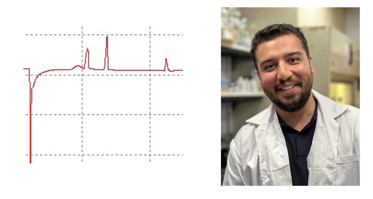 Your face when you finally get 3 peaks for 3 compounds… 😁 Congrats Pouya!