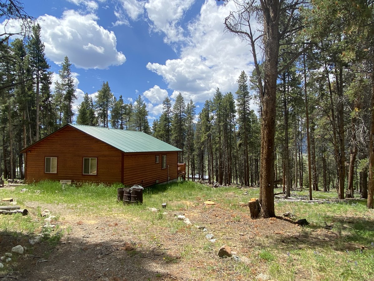 Colorado State Forest Service tweet media