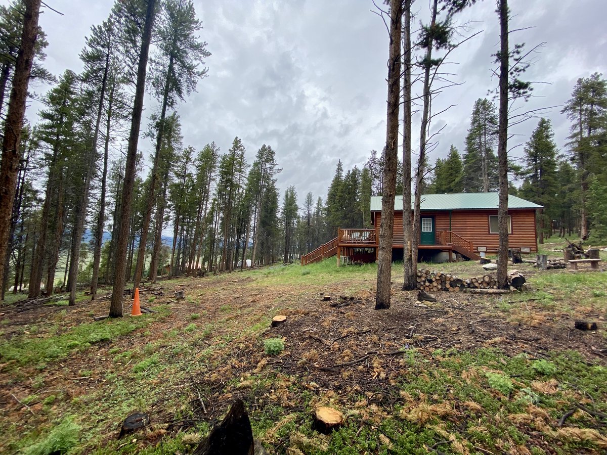Colorado State Forest Service tweet media