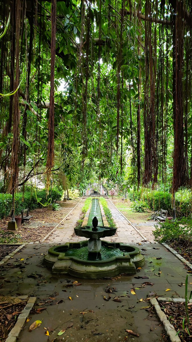 Melissa Paola Mezzari, Ph.D. tweet media