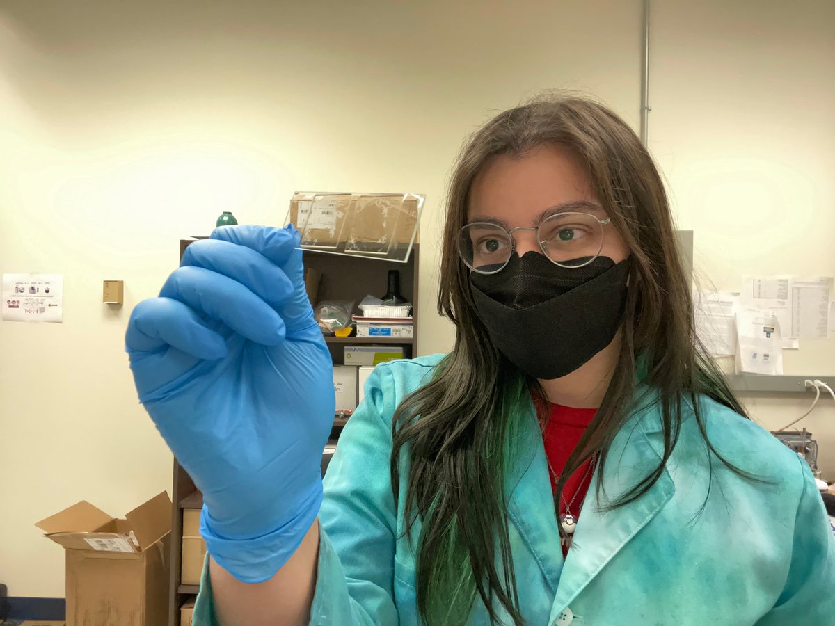 NASA's tweet image. Every day is #STEMDay at NASA. Our @NASASTEM is here to help:
- Get an experiment flown in space
- Secure grants and internships
- Bring NASA research into the classroom

Details at: go.nasa.gov/4hIwnPE