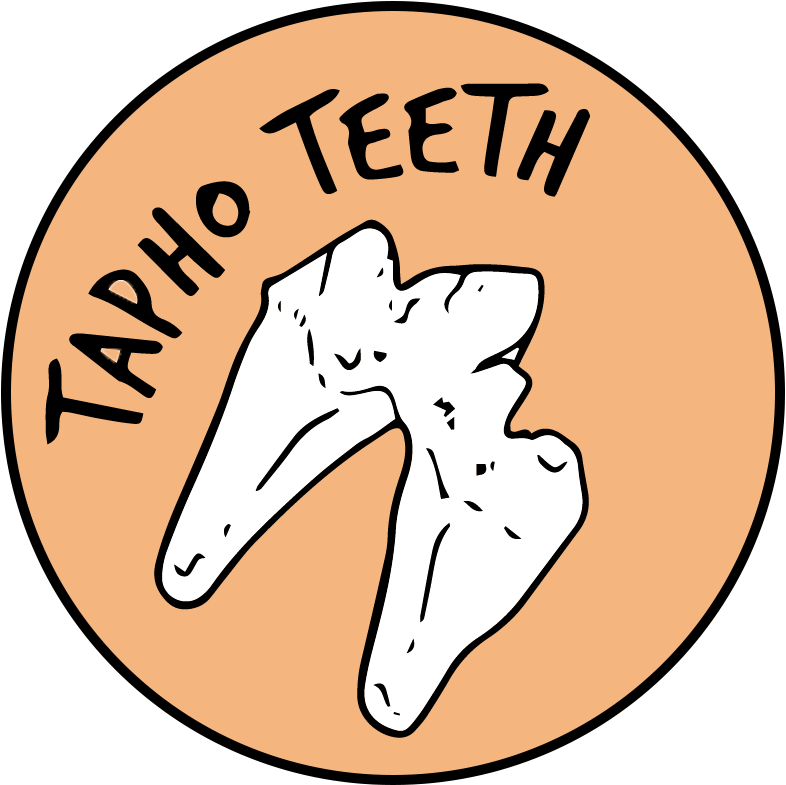 Taphoteeth tweet media