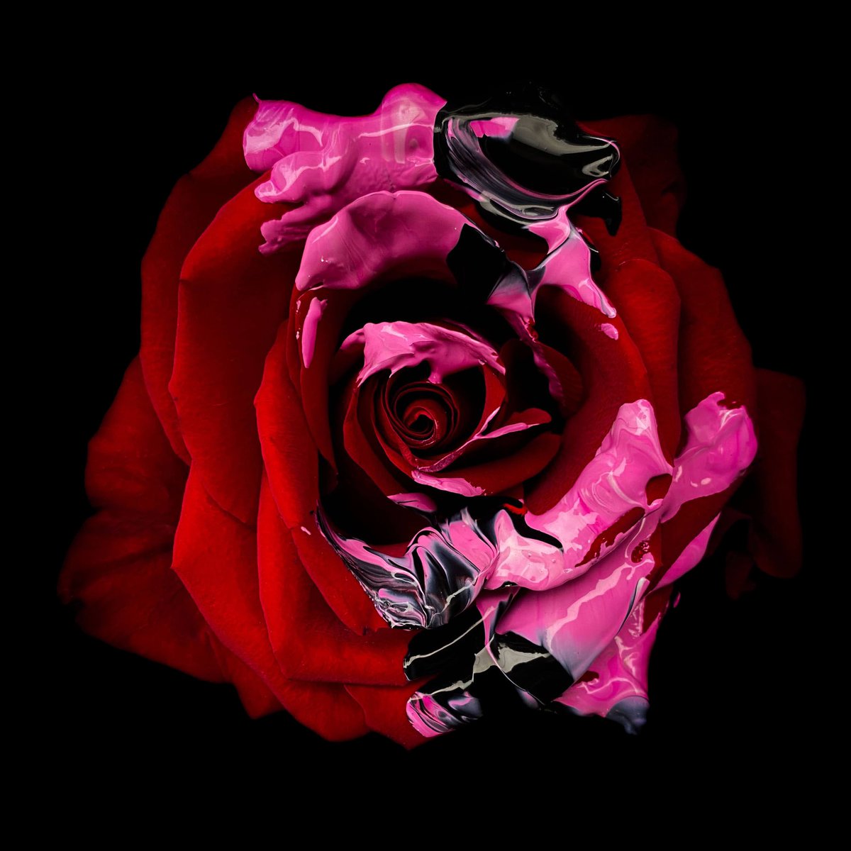 18 blocks (~3 hours) 🕳️

🌹Parent/child provenance from our node
🌹Metadata 
🌹Hand selected rare sats 
🌹High resolution artwork
🌹27 only