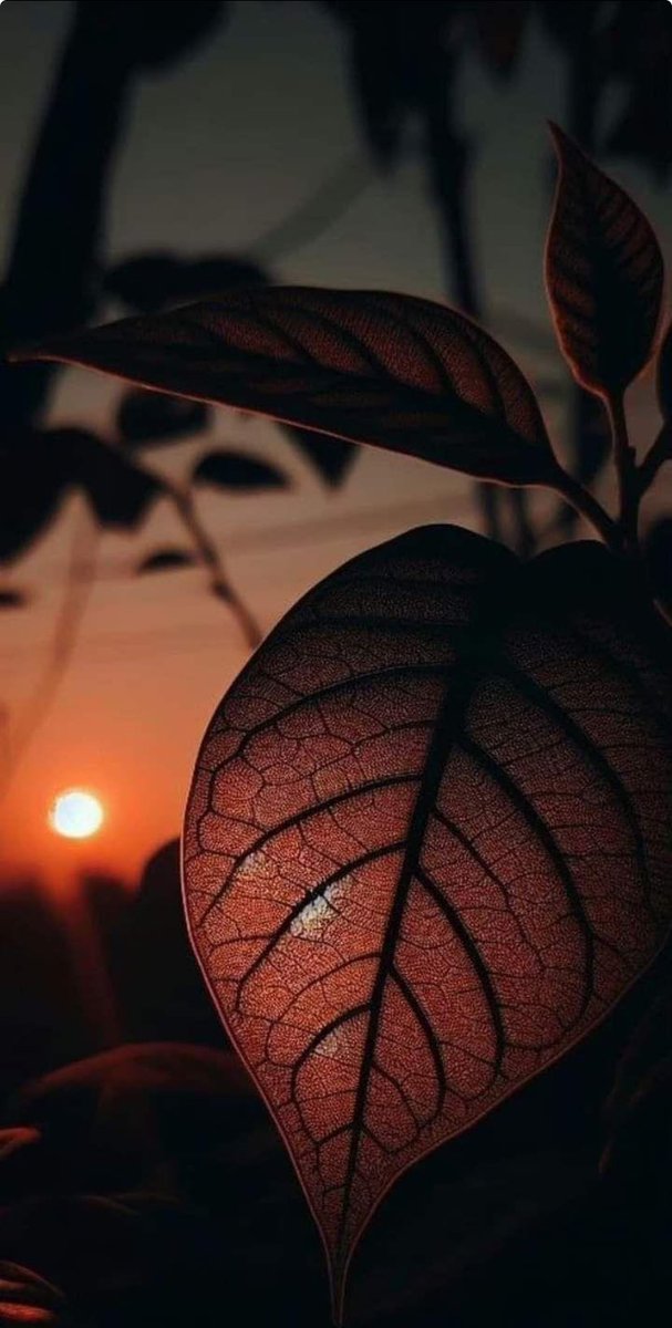 " المرأة التي قالت لزوجها حين تركها وحيدة مع رضيعها، في صحراء جرداء لا زرع فيها ولا ماء:

الله أمرك بهذا؟!

فأشار برأسه (نعم)

فقالت: إذًا لن يضيّعنا. 

هي من أنجبت الذي قال: ﴿يا أَبَتِ افعل ما تؤمر﴾، عندما أراد أن يذبحه! ، 

هكذا هو {توريث اليقين في الله} جلّ ثناؤه " .🥀 ツ