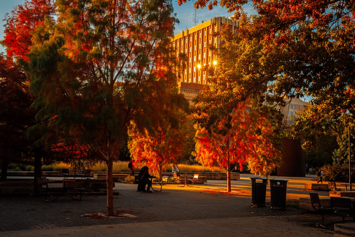 UNLincoln's tweet photo. Soaking up these fall colors 🍂 https://t.co/o6DftubtIp