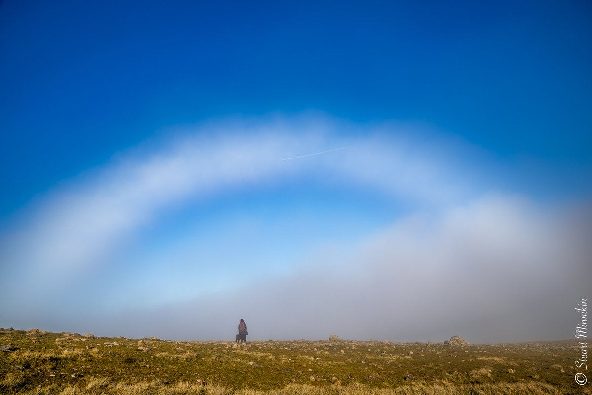 Stuart Minnikin tweet media