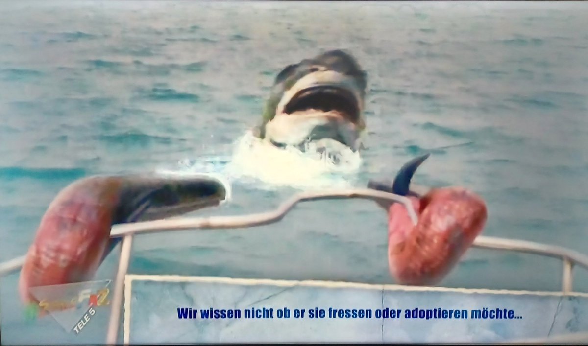 Frank_S_1978's tweet photo. Zum Glück hat der achtarmige Hai überlebt.
Sonst hätte es #SharktopusVsWhalewolf vielleicht nie gegeben.
#LezFaZ
#SchleFaZ
#SharktopusVsPteracuda
#TeamCuda
#UnschuldsFaZ
#SchlefazBeiNitro https://t.co/aGq1Y4iubv
