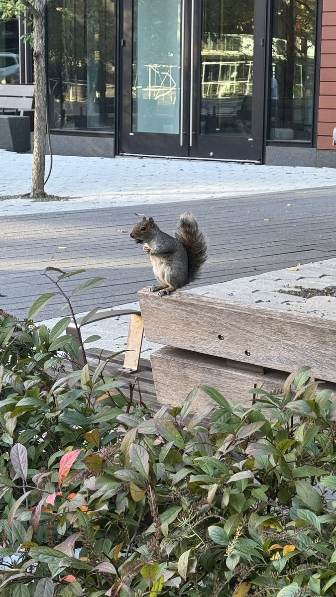 Mazzlow's tweet photo. i wonder how this dude i saw this morning is doing now. i hope he had a nice, productive, yet relaxing day. https://t.co/VrbZZugSMh