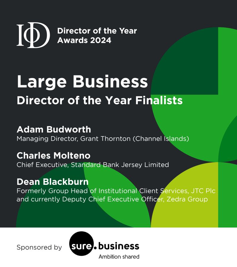 The Large Business Director of the Year award is sponsored by Sure Business.  

The finalists are: