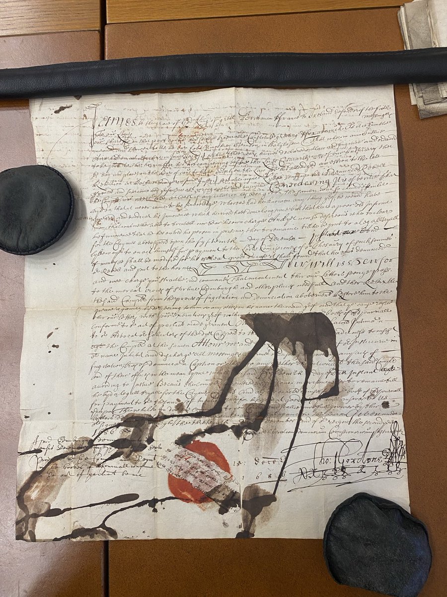 Dr Laura Doak tweet media