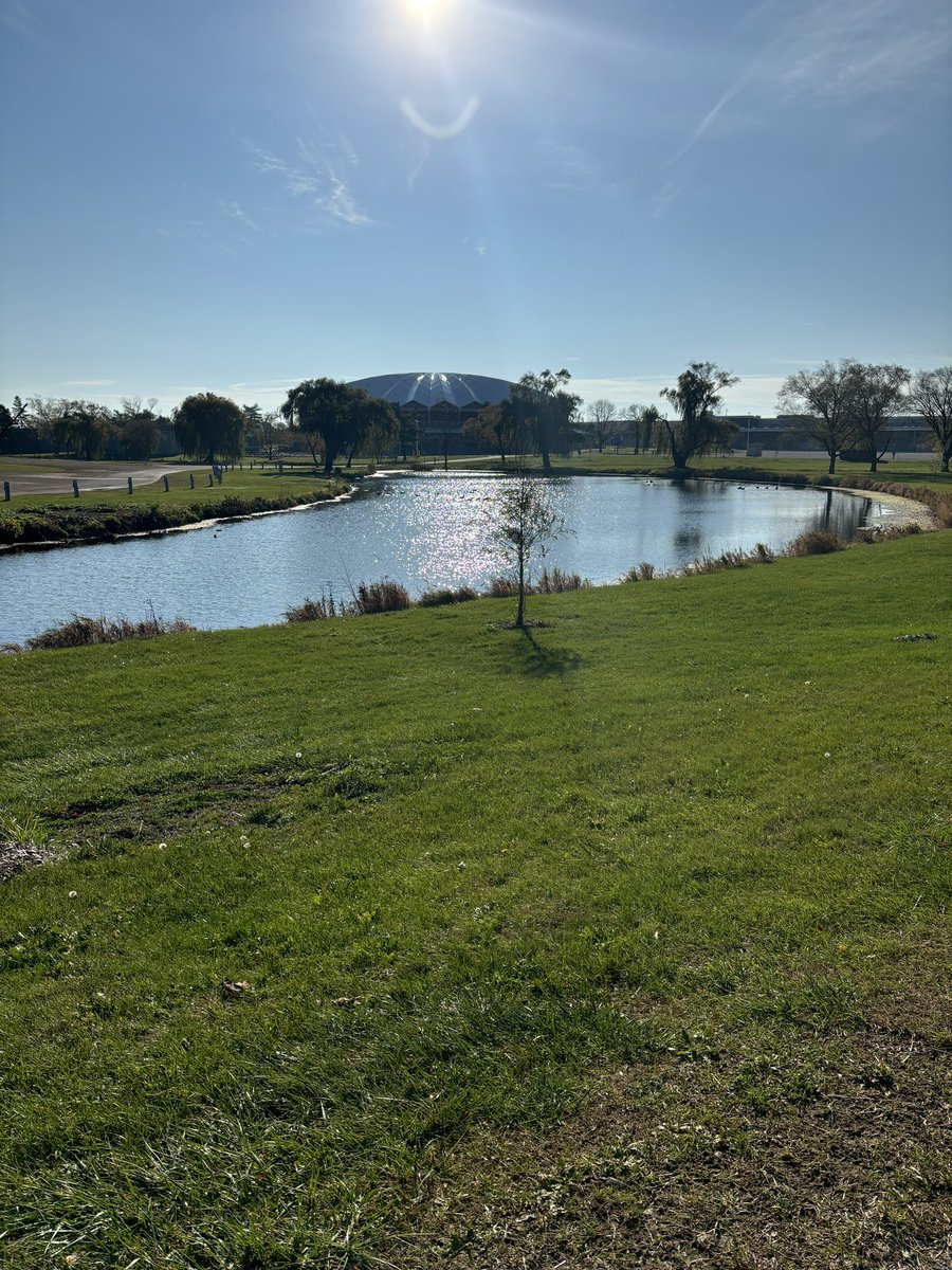 TheMonkeyDiet's tweet image. Went out on two, five minute #walks and then a 40 minute walk and #practiced my #speech for tomorrow night to help the monkeys at Primates Inc! Looking forward to growing the base of caring humans to help me overcome the many #challenges in helping #monkeys achieve #sanctuary