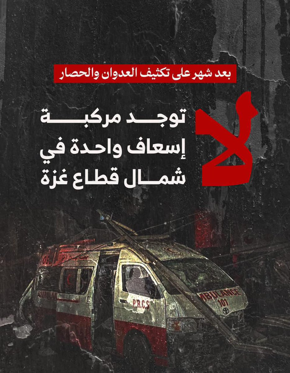 مني المصري (@monaelmassry25) on Twitter photo 