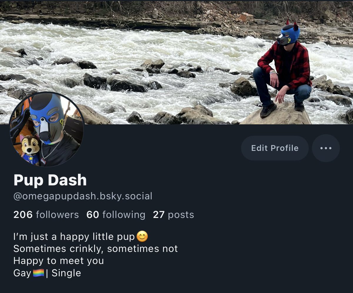 pupper_dash's tweet image. I think I’m gonna be posting over on 🟦☁️ more from now on, catch me over there.