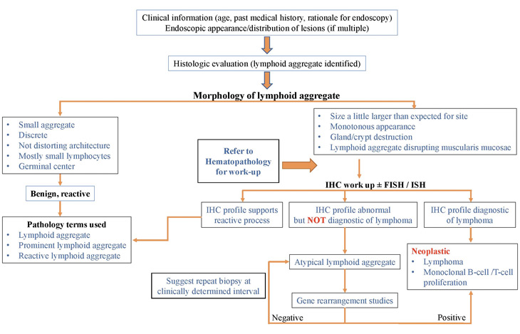 Algorithm for Evaluation of a Lymphoid Aggregate in a Mucosal GI Biopsy 🔬
health.ucdavis.edu/blog/lab-best-…