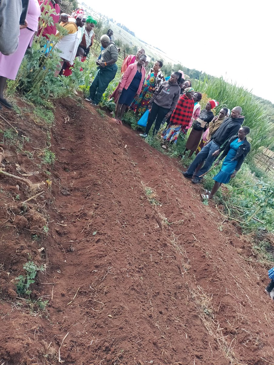 monica yator (@kipsingar) on Twitter photo Thank you Ogieks for this fantastic day; advancing agroecology awareness and action with passion, we have to scale up and educate the community on the opportunities at hand with agroecology transitioning <a href="/judykipkenda/">judykipkenda</a>
<a href="/FundAgroecology/">Agroecology Fund</a>
<a href="/IIWF/">FIMI-IIWF</a>
<a href="/GLFChapters/">GLFx Chapters🌍🌎🌏</a> <a href="/GEF_SGP/">Small Grants Programme</a> Thank you Ogieks for this fantastic day; advancing agroecology awareness and action with passion, we have to scale up and educate the community on the opportunities at hand with agroecology transitioning <a href="/judykipkenda/">judykipkenda</a>
<a href="/FundAgroecology/">Agroecology Fund</a>
<a href="/IIWF/">FIMI-IIWF</a>
<a href="/GLFChapters/">GLFx Chapters🌍🌎🌏</a> <a href="/GEF_SGP/">Small Grants Programme</a>