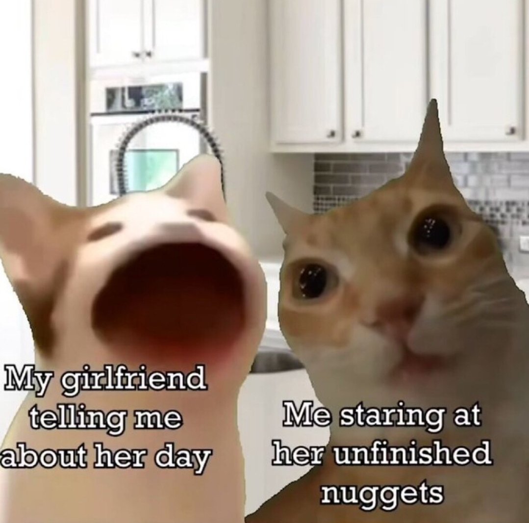smol silly cat tweet media