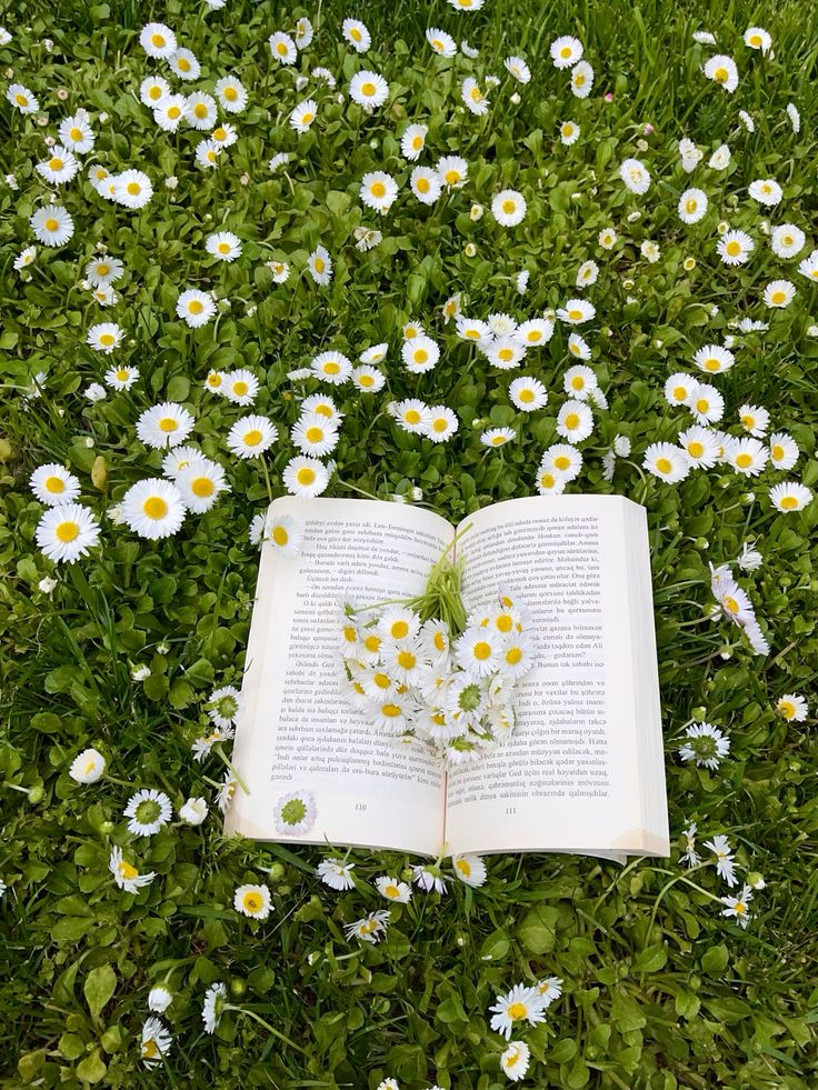 ᅠ ᅠ (@greendreaams) on Twitter photo 