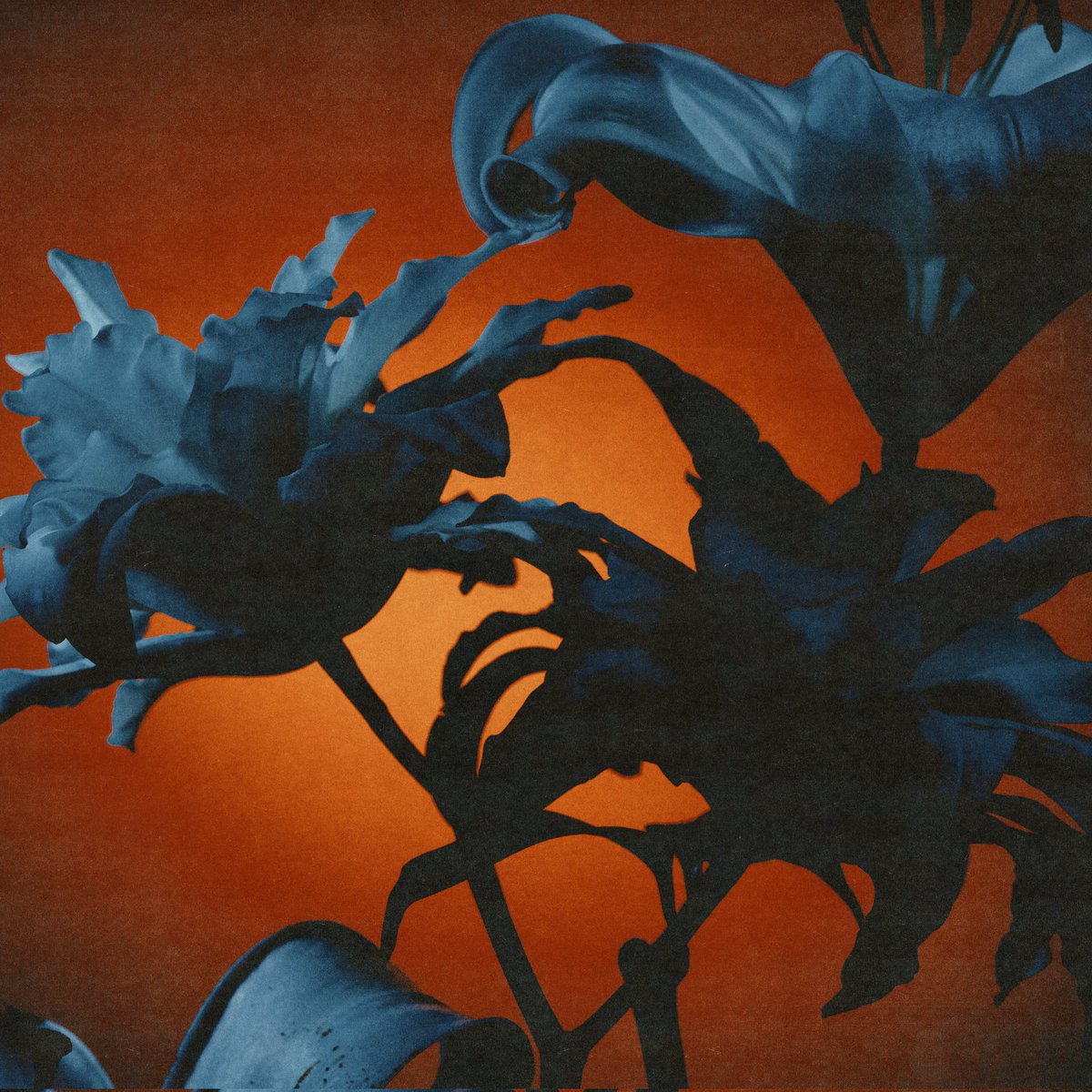 INSTANT REWARDS is out NOW 🔥
get your copy here: tidesfromnebula.com