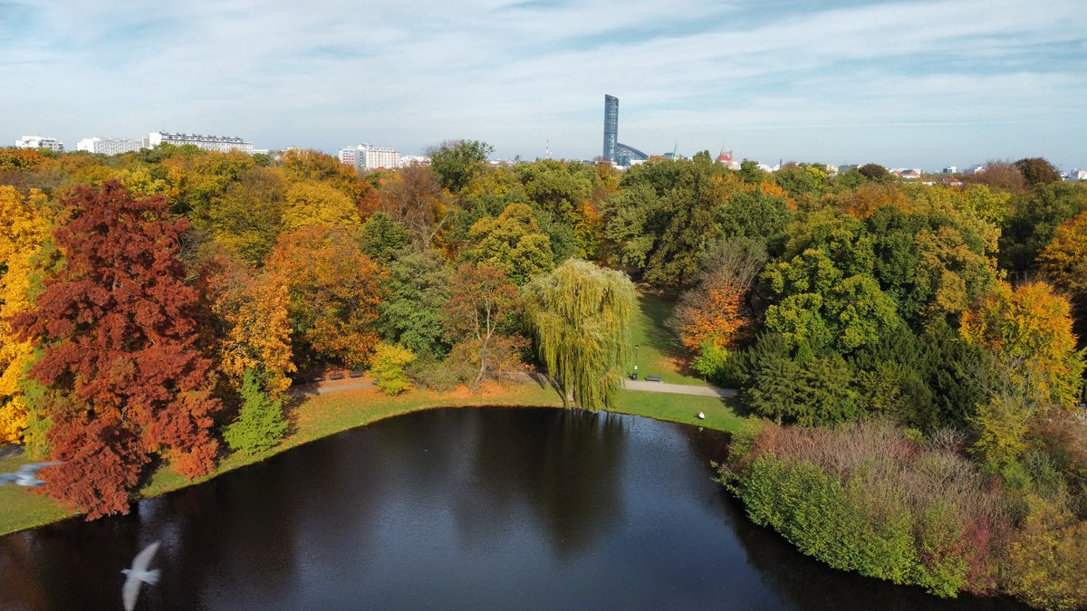 OkoWysoko's tweet photo. Park Południowy we Wrocławiu.
#autumnbeauty #dronelife https://t.co/mAxJaneMgb