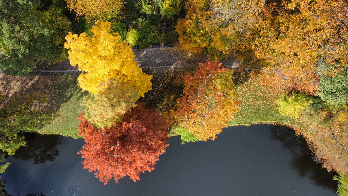 OkoWysoko's tweet photo. Park Południowy we Wrocławiu.
#autumnbeauty #dronelife https://t.co/mAxJaneMgb