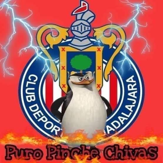 Piojismo1906's tweet photo. Fotos nacas de @Chivas. Abro hilo: 🧵 https://t.co/mD0LJvm0eu