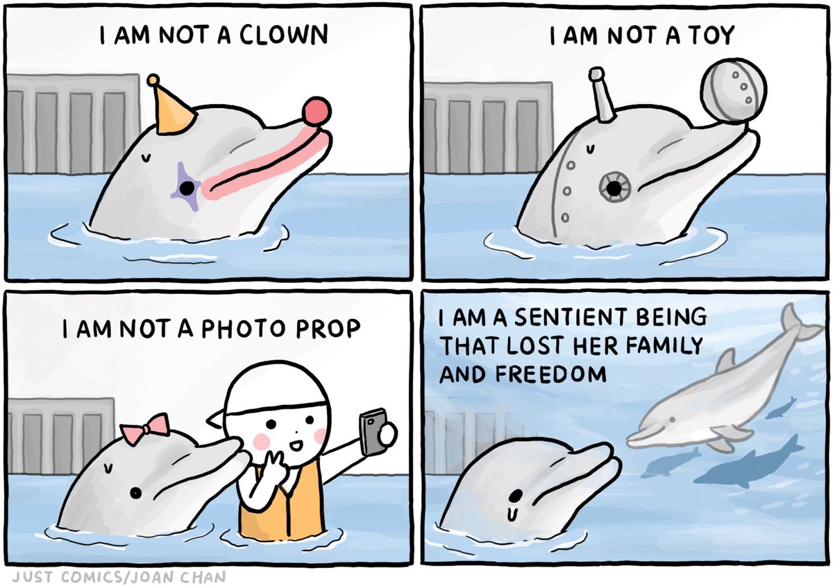 herbivore_club's tweet photo. #WorldFreedomDay
#FreedomDay 🐬 

🎨 Just Comics https://t.co/ohdQFo8Td0