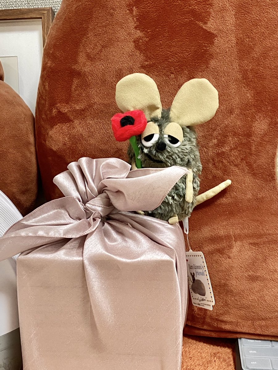 안녕하세요 오랜만이지요 오늘 슬픈 소식을 전해드려야 할것같아요
보름정도 전 휴일에 밀스가 떠났어요 원래 뇌전증이 있어서 약을 먹이고 있었는데도 증상이 심해지더니 그렇게 갑자기 떠났네요...