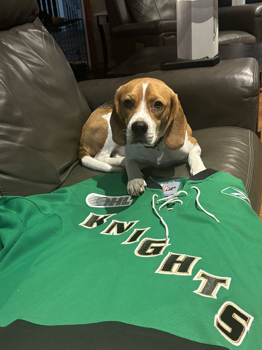 SmibertJohn's tweet photo. @stubbs980 Go Knights Go from John and Bella the Beagle from St Thomas https://t.co/rxPRzRTreR