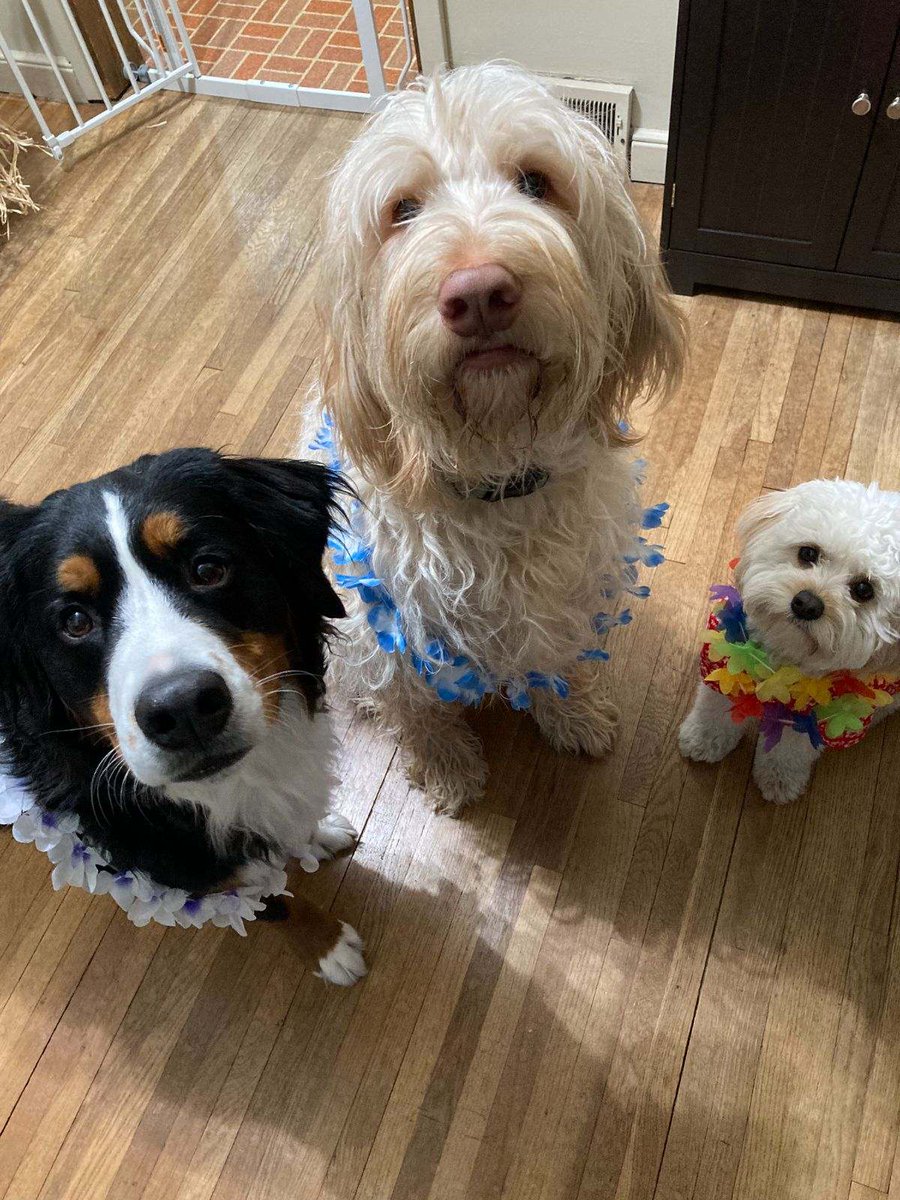 Rob Willette tweet media