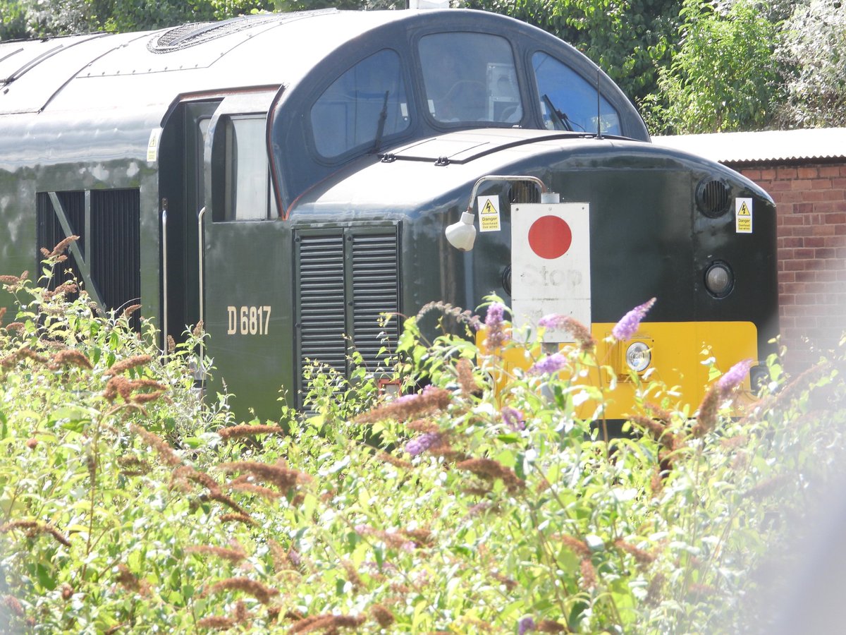 DanSpotter86's tweet photo. TRACTOR 🚜 THROUGH FOLIAGE!!!

Here's a shot of D6817 "37521" seen here through heavy thick foliage in the Crewe Horseshoe Sidings on August 9th 2024. #Class37 #D6817 #Crewe #wcml #summer2024 https://t.co/uAvf6KGCNS