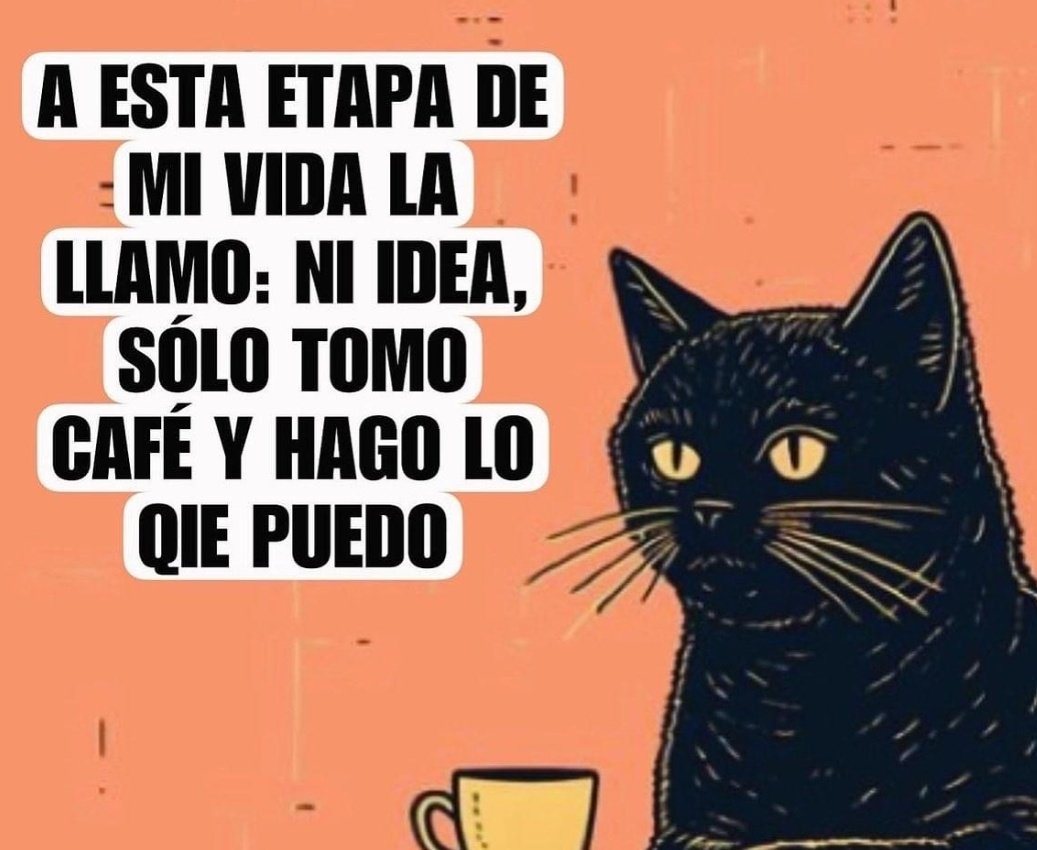 silvercorp's tweet photo. ¿Quién más para tomar café juntos? https://t.co/6FHrZAdW8o