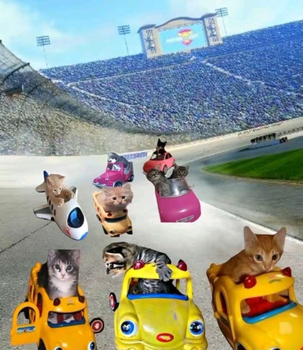 “dreams have meaning”

my dreams: