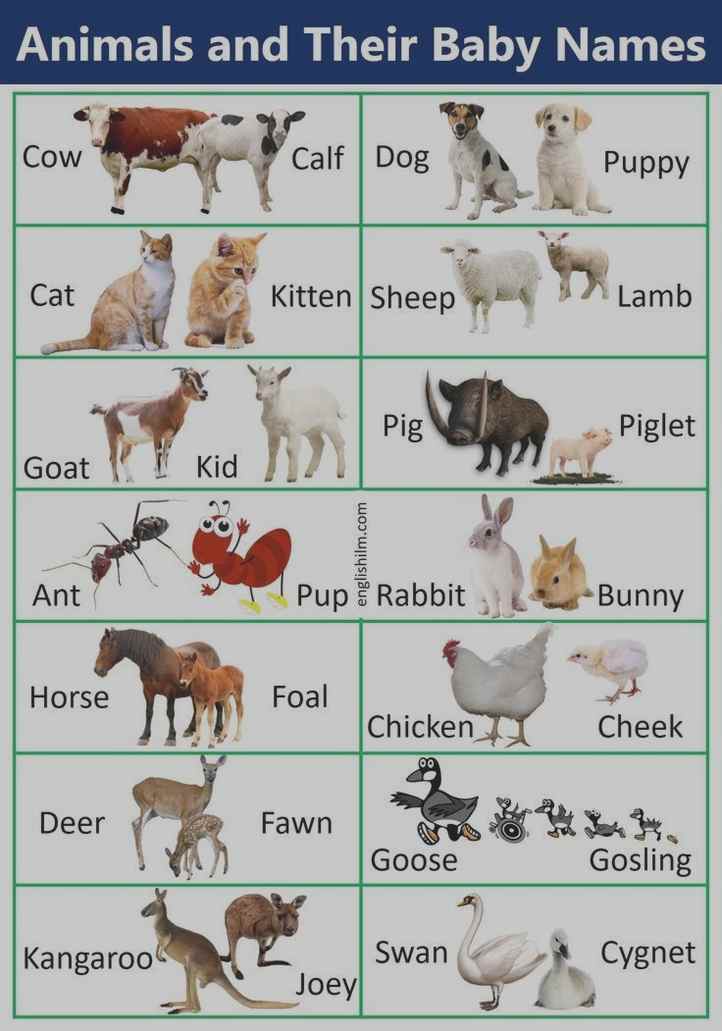 Are you up to speed on aviv revah?