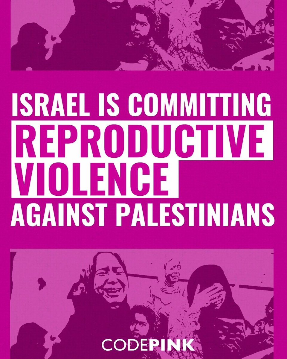 codepink's tweet photo. ICYMI: A new report from The Lancet reveals how Israel is deliberately targeting mothers and newborns in Gaza.

This is reproductive violence. 
This is genocide. 
(THREAD) https://t.co/xW8hYrS7HE