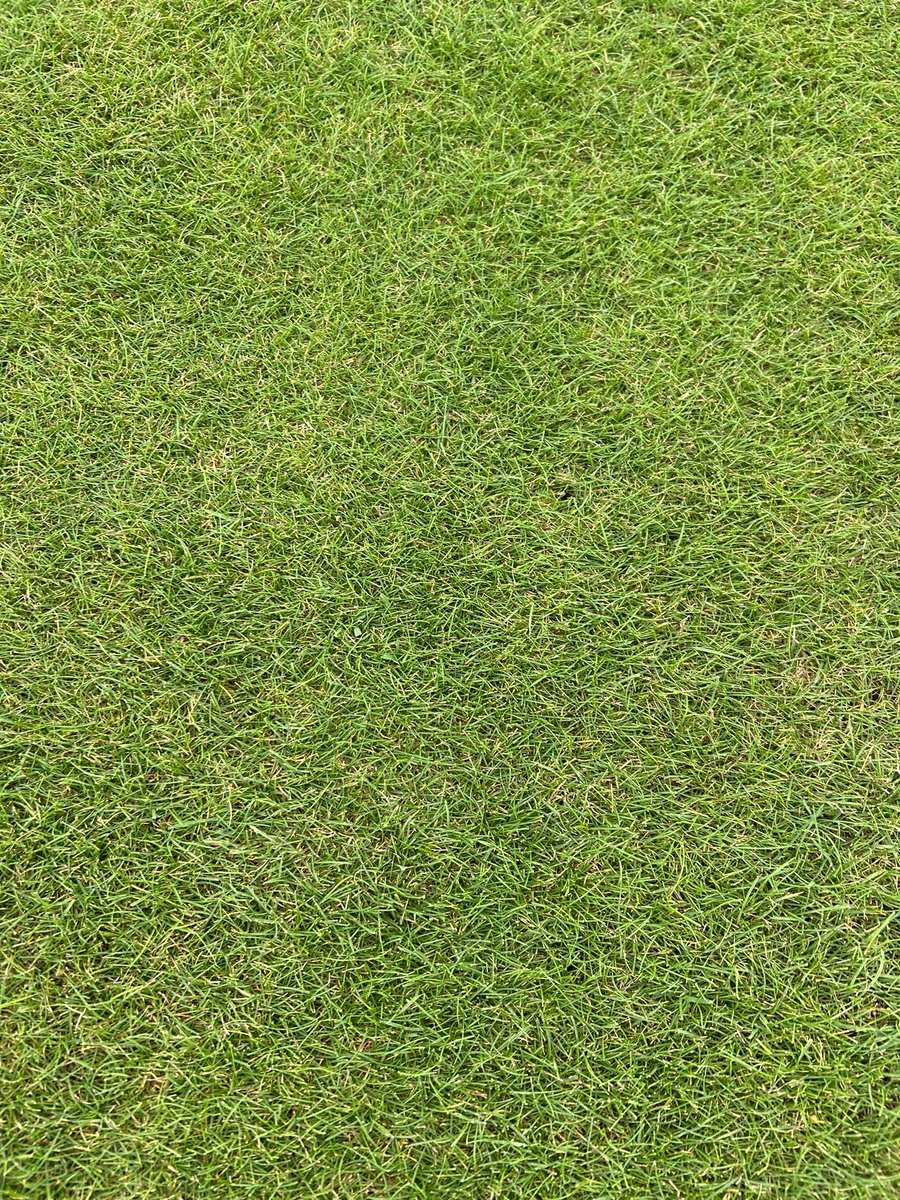 Craig Berry tweet media