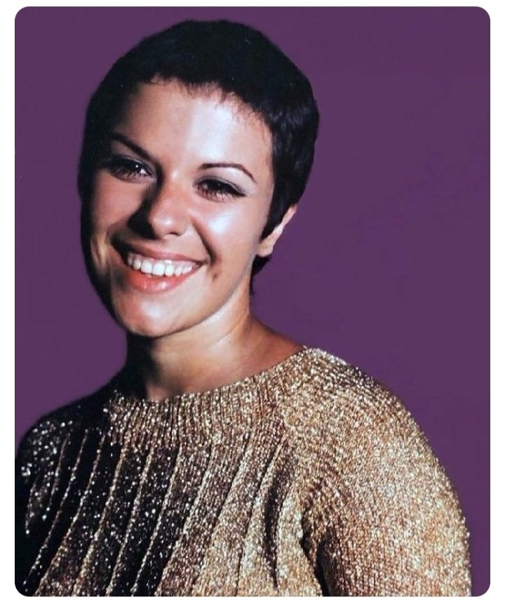 Vc é fã ou admirador de Elis Regina?
RT