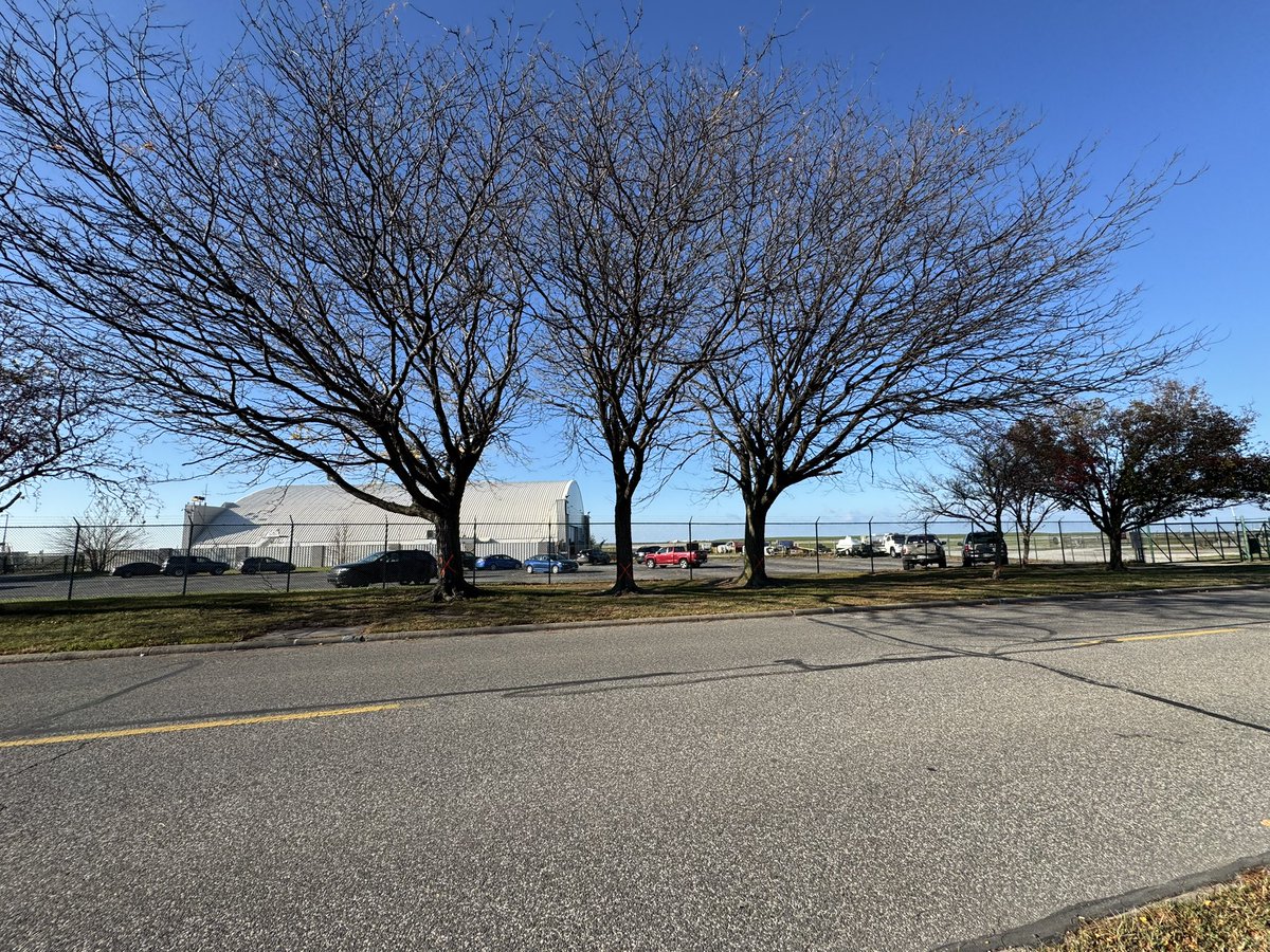 TreeCleveland tweet media