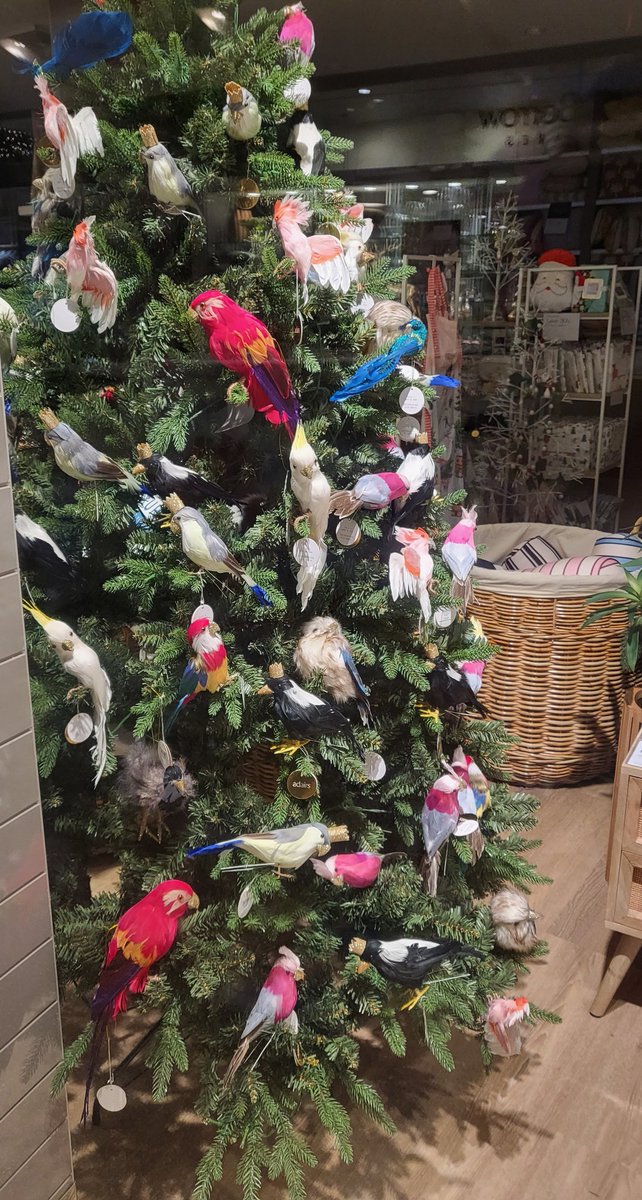 A J Spedding tweet media