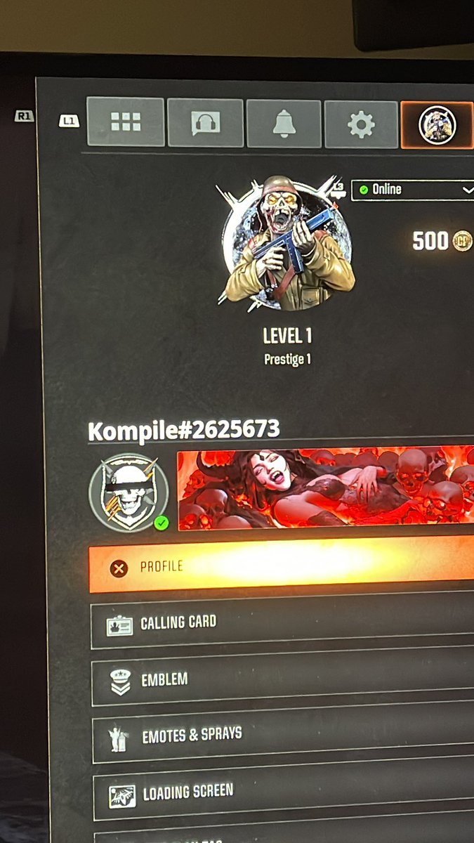 iKompile's tweet photo. New cod account add me up 🫡 https://t.co/5CzZN7TMpk