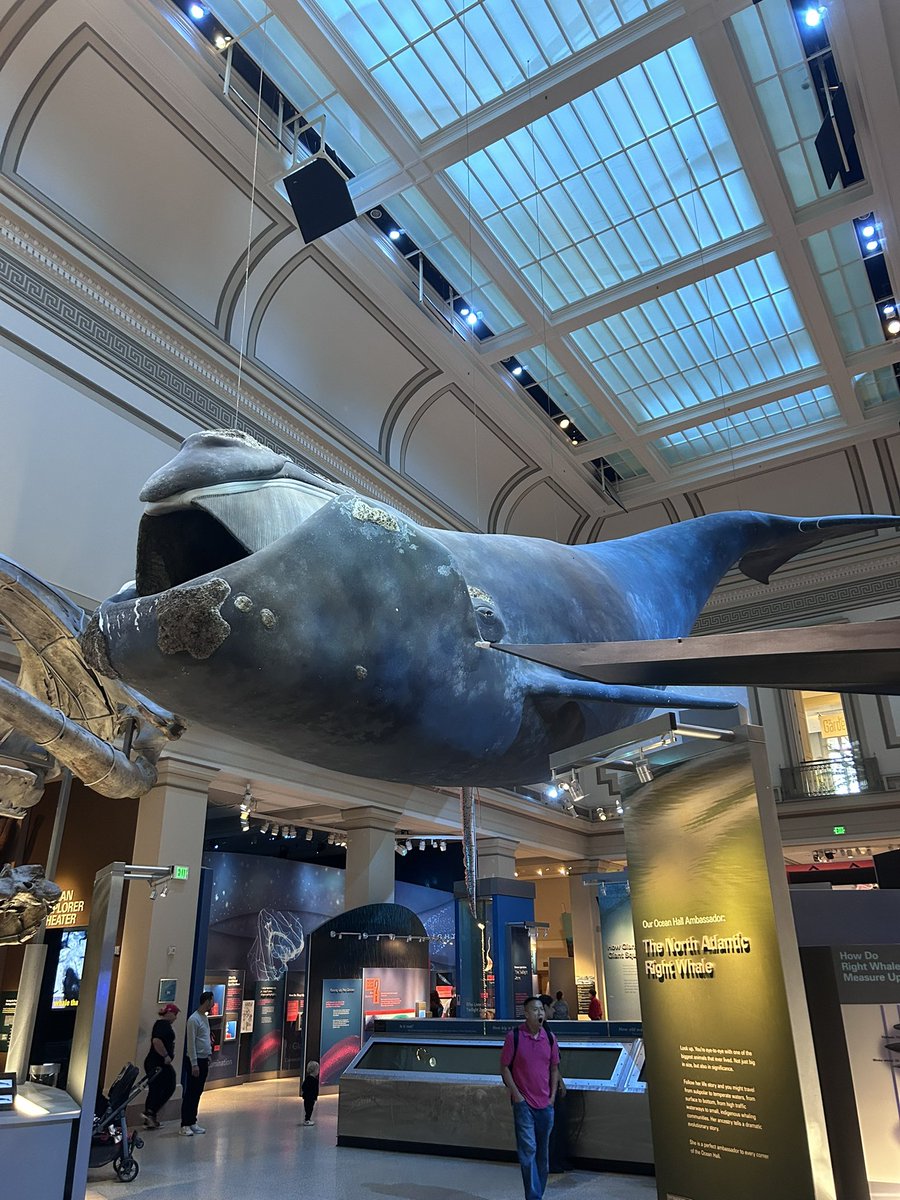 Bus 2 explored the Portrait Gallery &amp; the Museum of Natural History this afternoon! Tons of learning going on as we press on here in DC! #NoviDC24