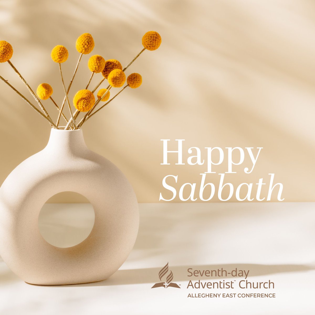 Let us not become weary in doing good, for at the proper time we will reap a harvest if we do not give up. - Galatians 6:9

Happy Sabbath!