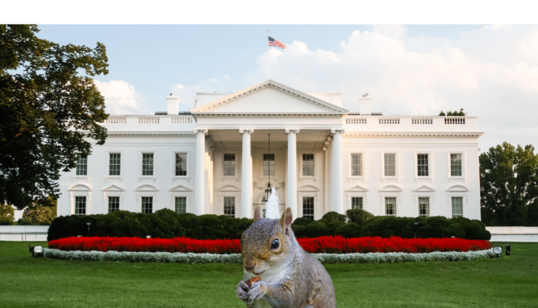LionNSun022826's tweet photo. SIGN🙏@NYSA_Majority @GovKathyHochul #NewYork @CarlHeastie @fred_thiele @CNN #Peanut #PeanutTheSquirrel #PeanutThePatriot #peanutslaw #squirrel #AnimalAbuse #AnimalCruelty #stopanimalcruelty #StopAnimalTests #endanimalagriculture #AnimalRights #Vegan #NYC
https://t.co/HcE2aW2UrB https://t.co/i1pZrIggpI